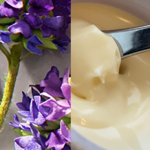 Bakuchiol Skincare